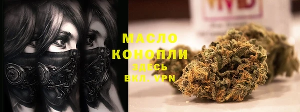 индика Верхний Тагил
