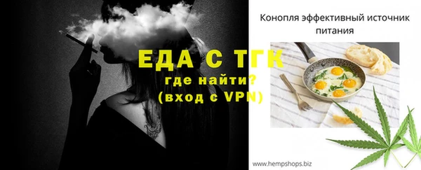 индика Верхний Тагил