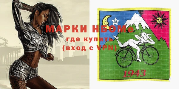 индика Верхний Тагил