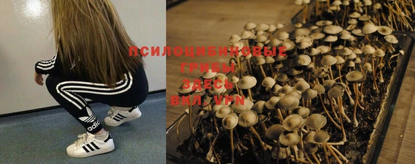 спайс Верея