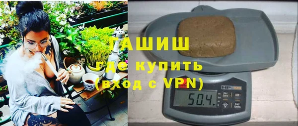 индика Верхний Тагил