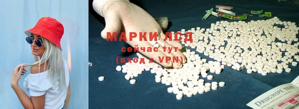 индика Верхний Тагил