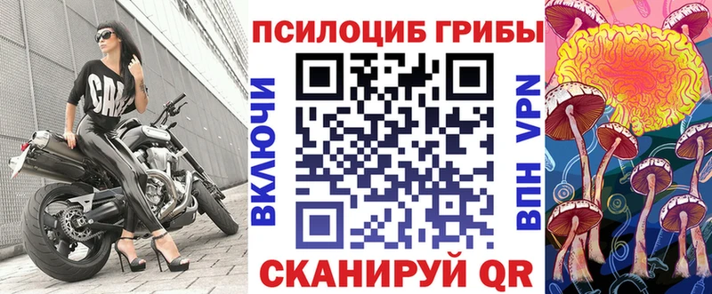 Галлюциногенные грибы мицелий  купить наркоту  Иваново 